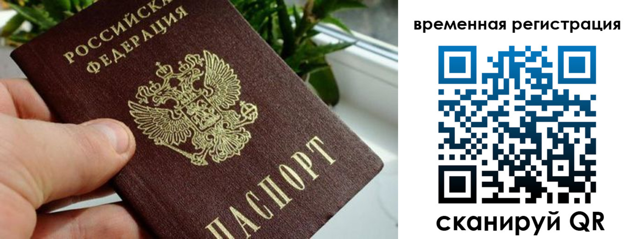 прописка поиск в Магадане
